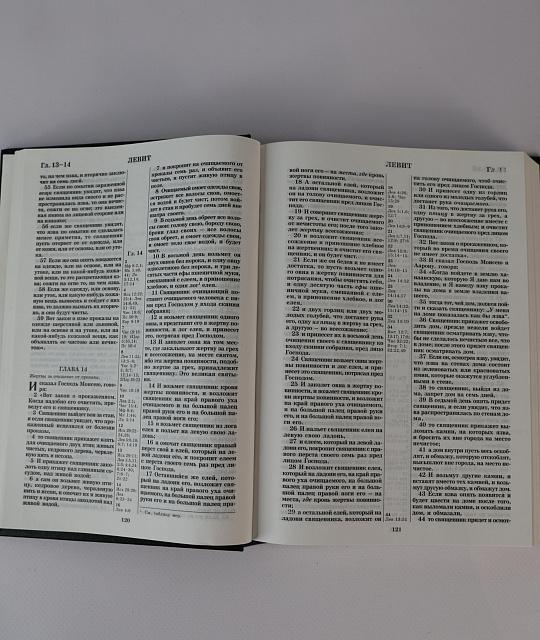 Bible, 294 pages