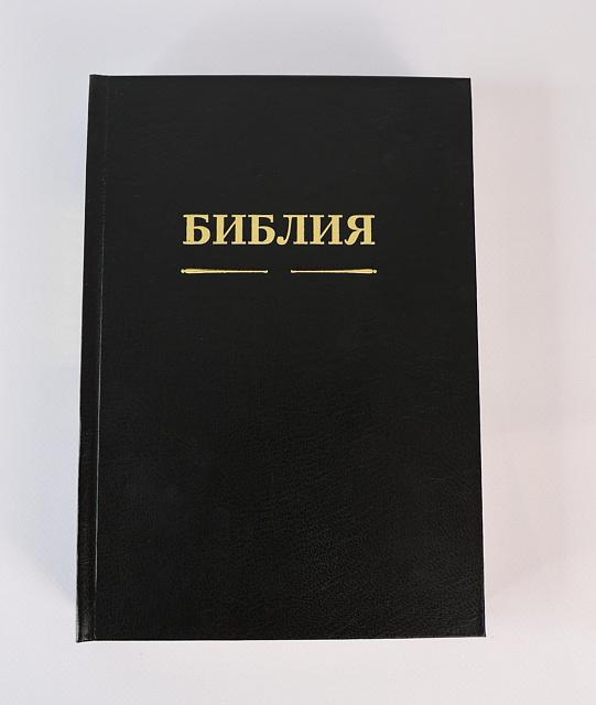 Bible, 294 pages